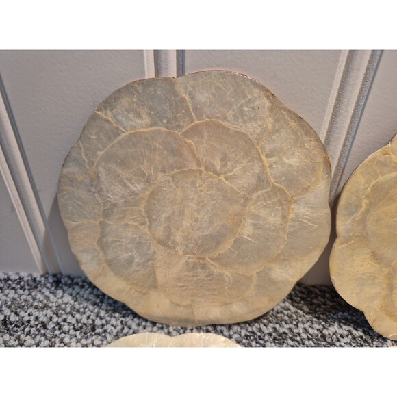 6 Capiz Shell Cork Backed Round With Scallop Edge Placemat/Trivets Phillipines - Picture 3 of 16